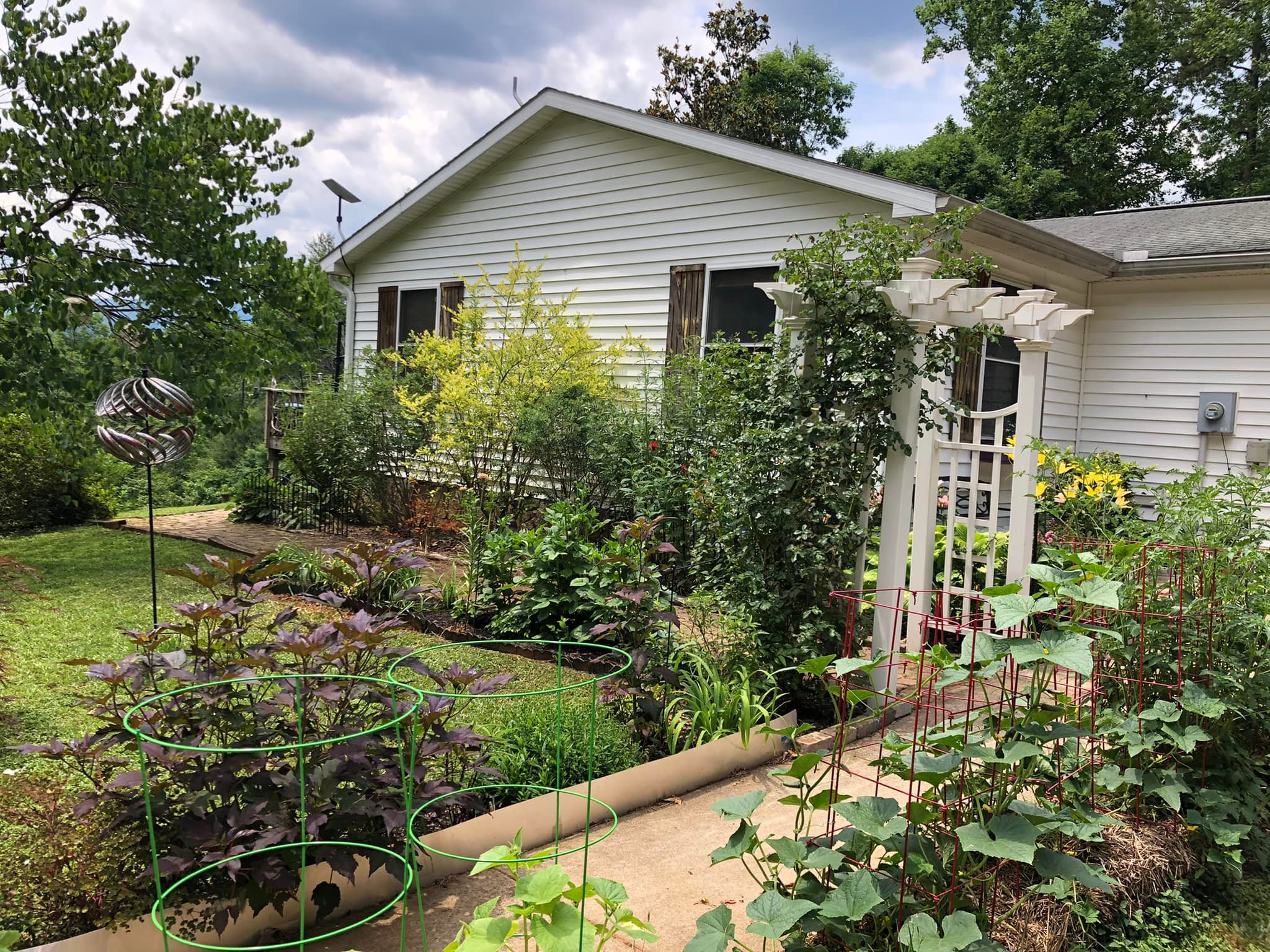 The side of a white house with a path obscured by plants