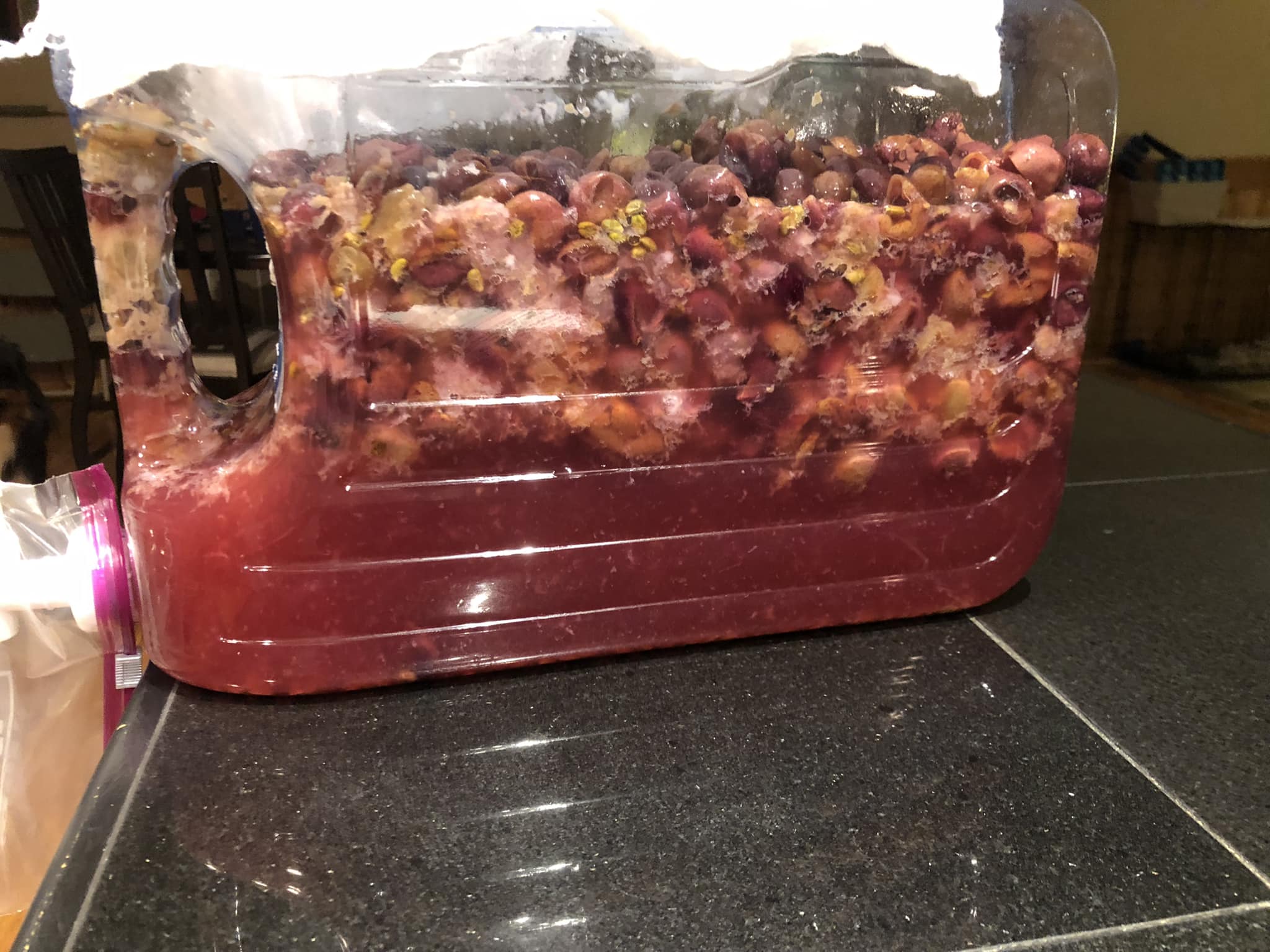 Crushed grapes floating on top of a bright red liquid insidea clear container