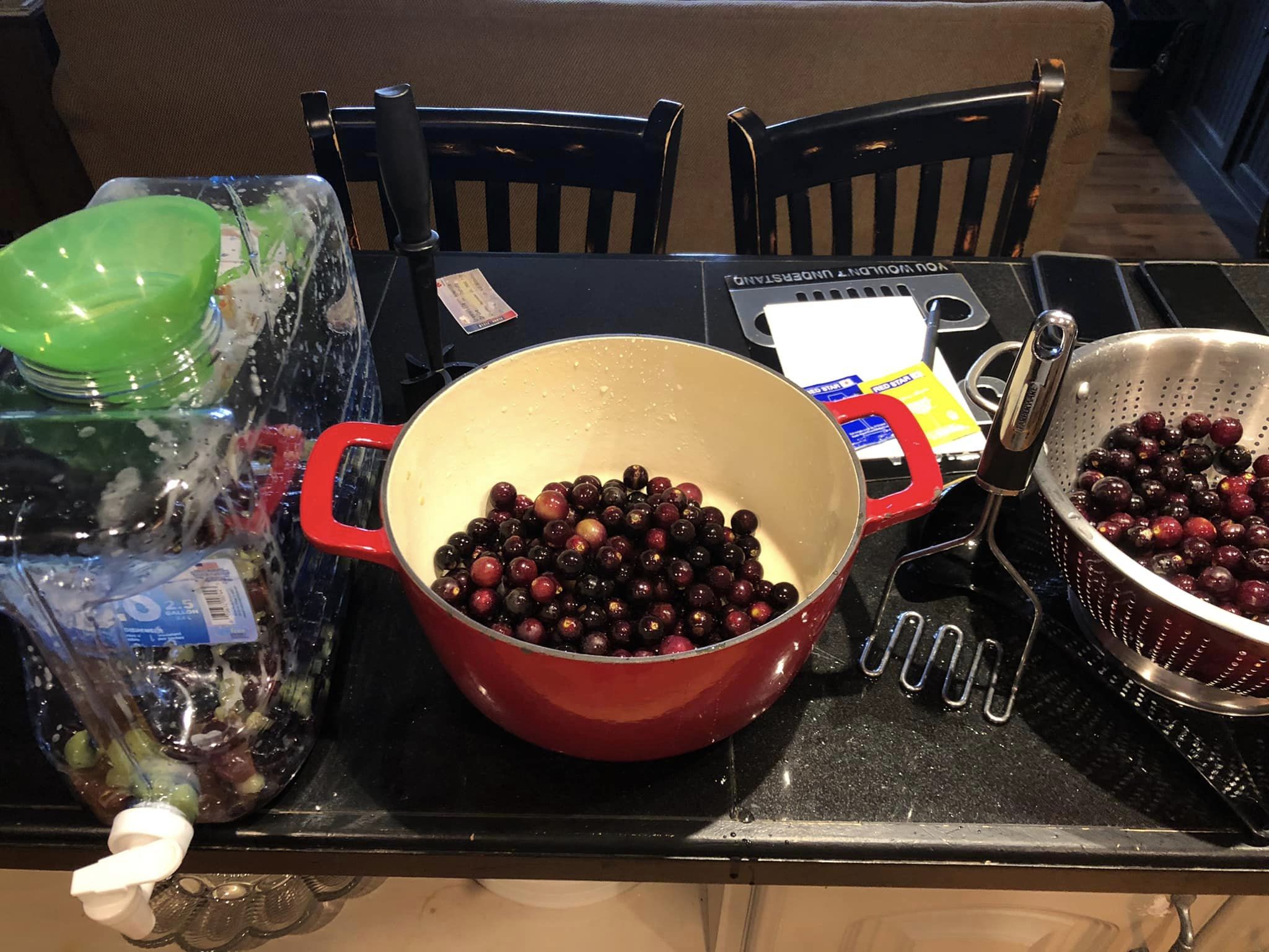 Dark red grapes in a red cast iron pot
